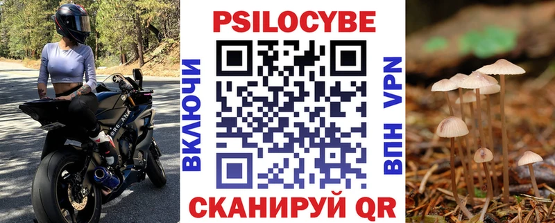 Псилоцибиновые грибы Psilocybine cubensis  Северо-Курильск 