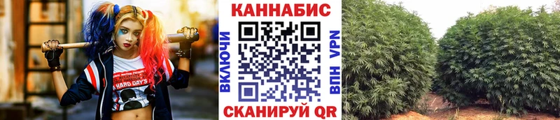 Каннабис OG Kush Северо-Курильск